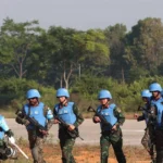 gin giu hoa binh