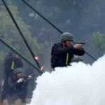 gin giu hoa binh resize