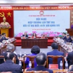 hoi nghi 217 dai bieu bau cu quoc hoi 0202