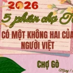info cho tet avatar