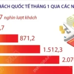 info thang 12026 viet nam don gan 25 trieu luot khach quoc te 6998