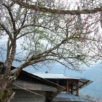 lai chau sin h