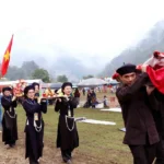 le hoi long tong 1