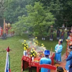 le thuong tieu dung cay neu trong dai noi hue 8583936 4 1