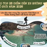 quy nhon diem den xu huong