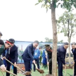 tong bi thu du le phat dong tet trong cay doi doi nho on bac ho xuan binh ngo 2026 1