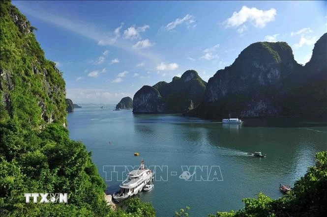 Chấp thuận đưa thuyền ba vách truyền thống vào phục vụ du lịch trên vịnh Hạ Long 1 vinh ha long
