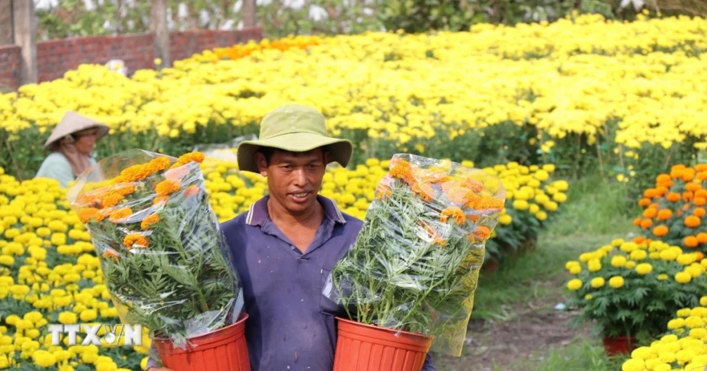 Từng bước hiện thực hóa khát vọng Việt Nam hùng cường 1 vinh long 3