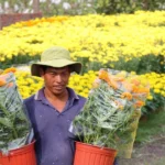 vinh long 3