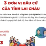 vna potal 3 don vi bau cu cua tinh lai chau 8610955 1234