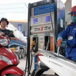 vna potal gia xang dau tang nhe ngay dau nam 2025 7787515 2
