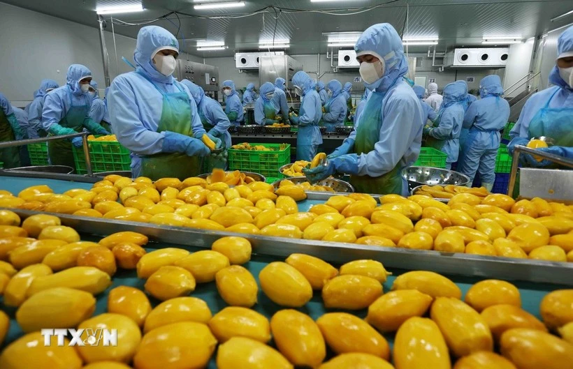 Triển khai nghiêm túc các biện pháp kiểm dịch thực phẩm đảm an toàn dịp Tết 1 xuat khau rau qua viet nam resize
