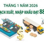 xuat nhap khau avatar