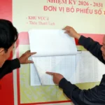 1003 bau cu ninh binh