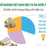 1103 dau tu ra nuoc ngoai 6523