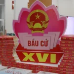 1103 hue bau cu