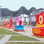1203 bau cu quang ninh