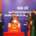 1903 cu tri hai phong