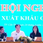 2403 hoi nghi xuat khau gao