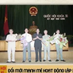 anh bia bai so 11