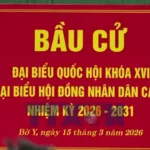 avatar of video 1588354