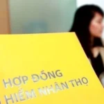 bao hiem