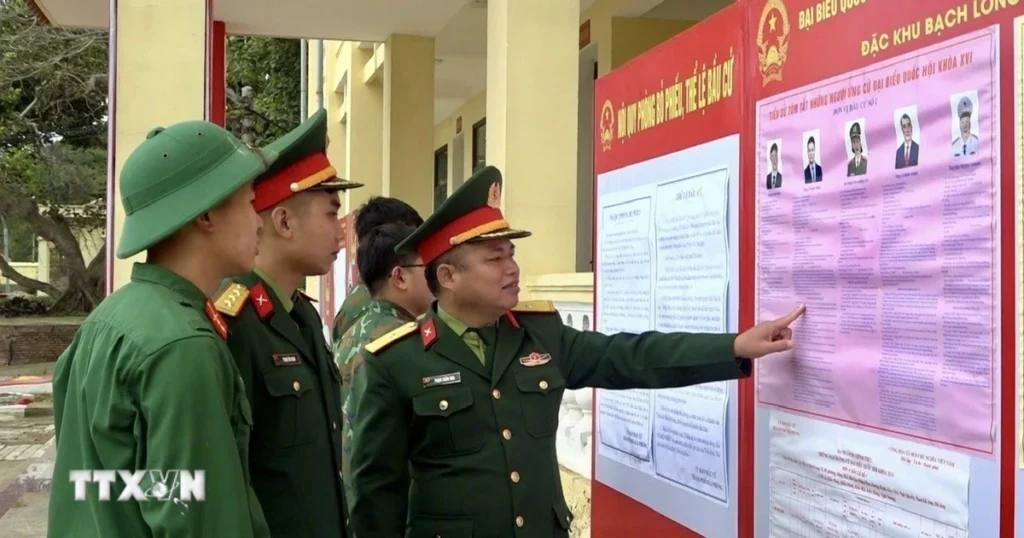 bau cu bach long vi hai phong 1 1