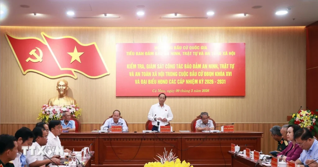 bau cu ca mau 1
