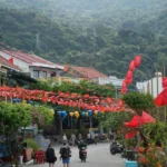 bau cu cu lao cham