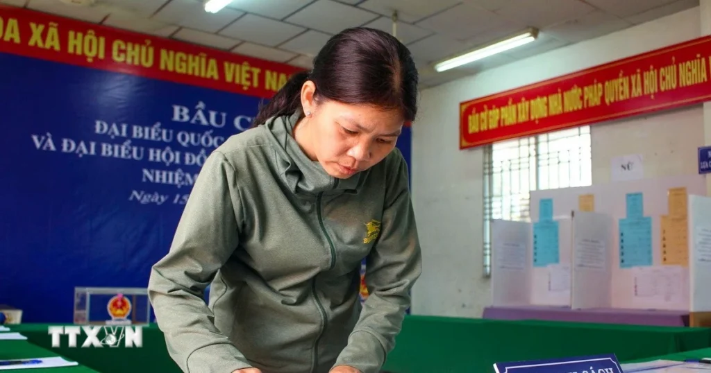 Bầu cử Quốc hội và HĐND: Lá phiếu và trách nhiệm công dân 1 bau cu cu tri