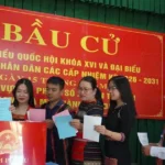 bau cu danang