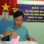 bau cu dong thap 2