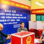 bau cu ha noi 3