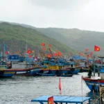 bau cu ngu dan