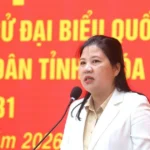 bau cu quang ngai 1