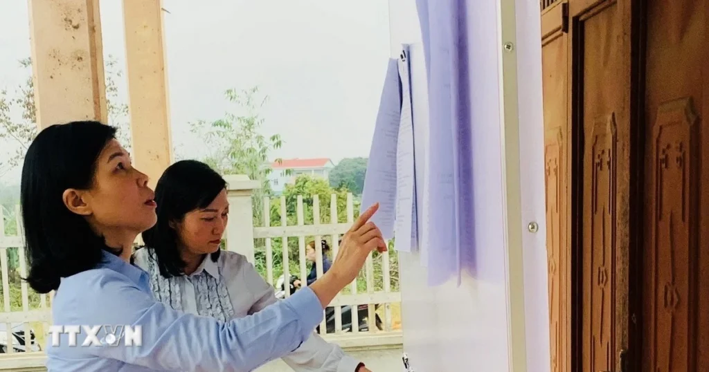 bau cu tuyen quang