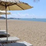 bien binh son ninh chu 1352