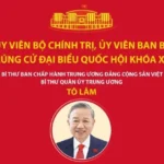 bo chinh tri avatar