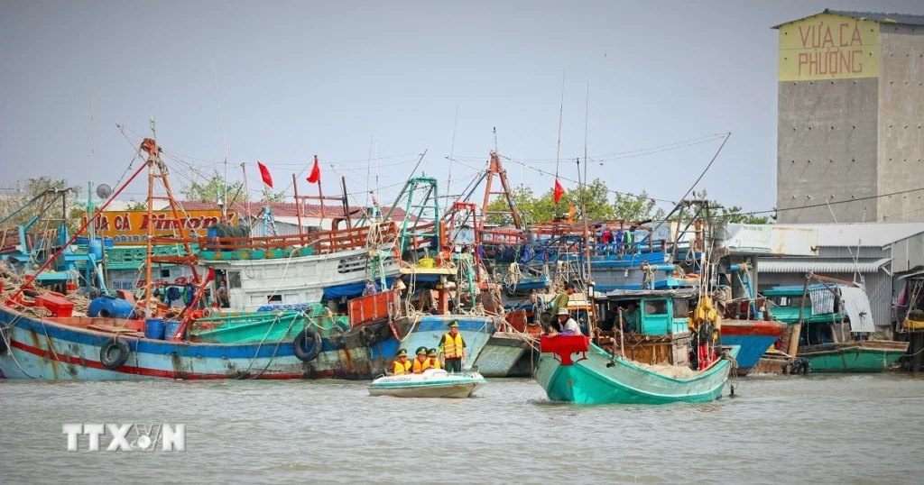 ca mau iuu 3