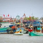 ca mau iuu 3