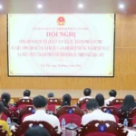 can tho cong bo ket qua bau cu dai bieu hdnd thanh pho khoa xi nhiem ky 2026 2031 1903