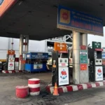 cay xang trong cang