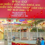 co hoa bau cu 11 resize