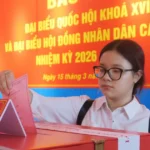 cu tri tp ho chi minh bau cu tai benh vien