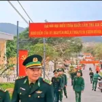 dao tran co to 1