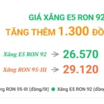 gia xang e5 ron 92 tang them 1300 donglit2