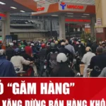 gia xang ha noi