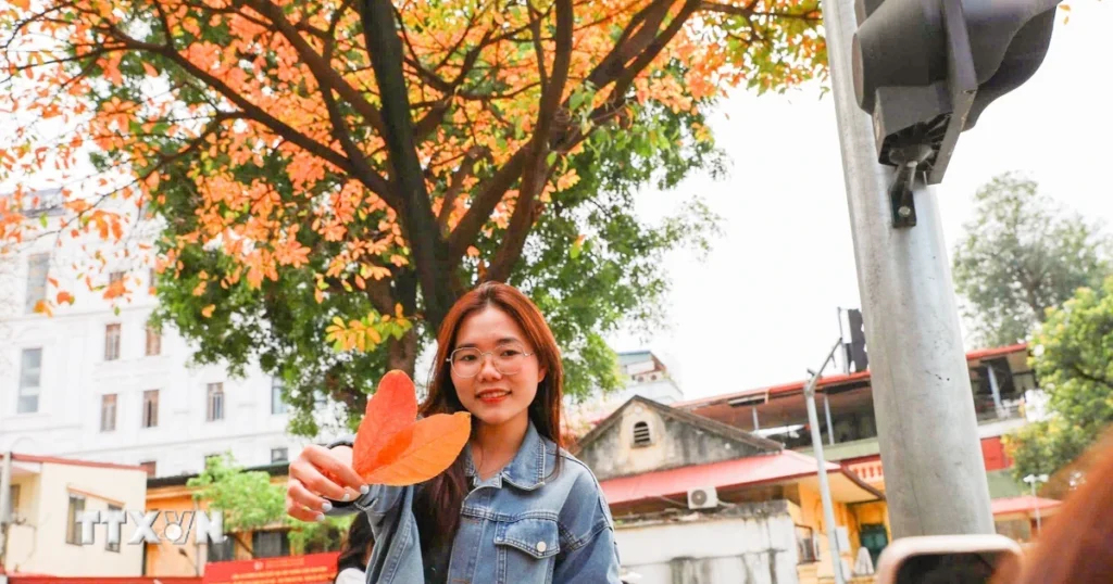 Vẻ đẹp nên thơ của Thủ đô Hà Nội trong mùa cây thay lá 1 ha noi vao mua thay la niu chan du khach4