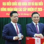 hai phong bau cu