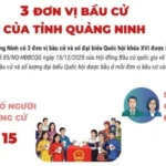info bau cu quang ninh avatar